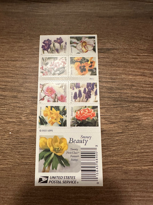 USPS Forever Stamps Snowy Beauty 2022 booklet of 20